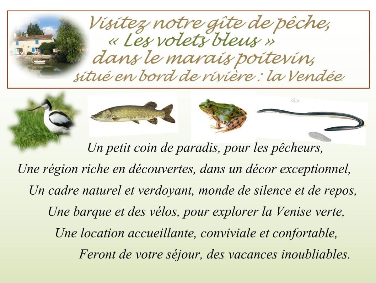 La Taillee Marais Poitevin Bord Riviere Peche ,Barque, Velos, Wifi, Linge, Cheminee, Cuisine, Terrain De Boules מראה חיצוני תמונה