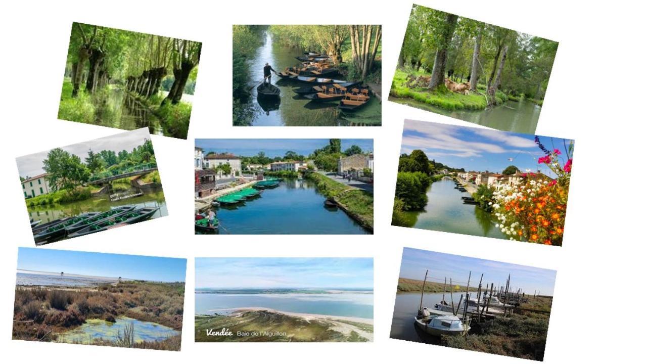 La Taillee Marais Poitevin Bord Riviere Peche ,Barque, Velos, Wifi, Linge, Cheminee, Cuisine, Terrain De Boules מראה חיצוני תמונה